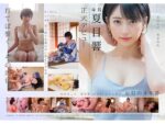 Thumbnail of related posts 079